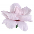 Róża główka 12 szt 4 cm Pink